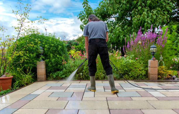 Pre-Holiday Cleaning in Hillsborough, CA